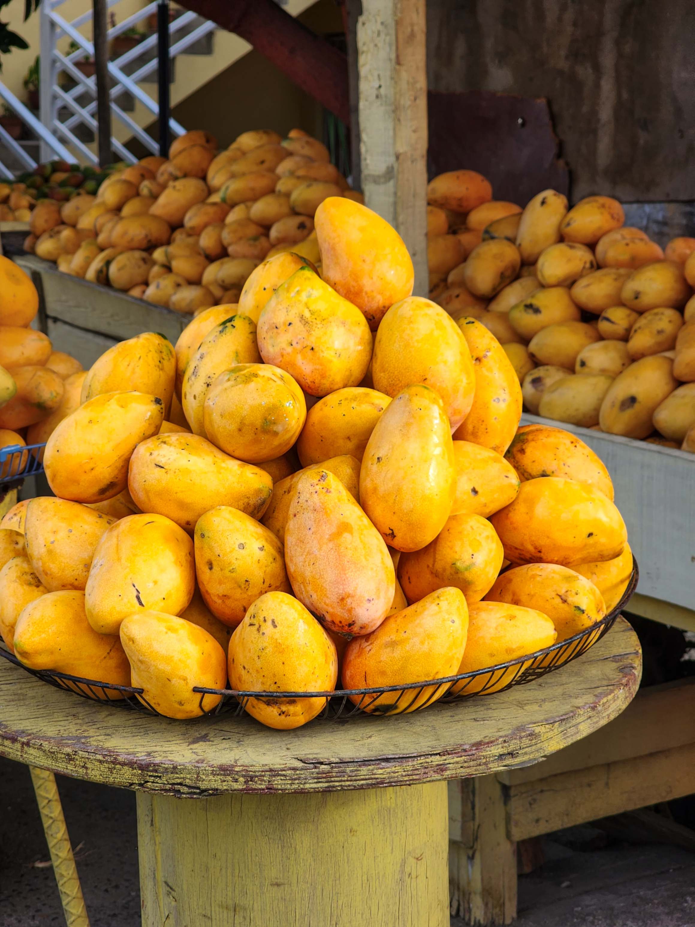 Primer plano de unos jugosos Mango Banilejo mostrando su vibrante color y textura