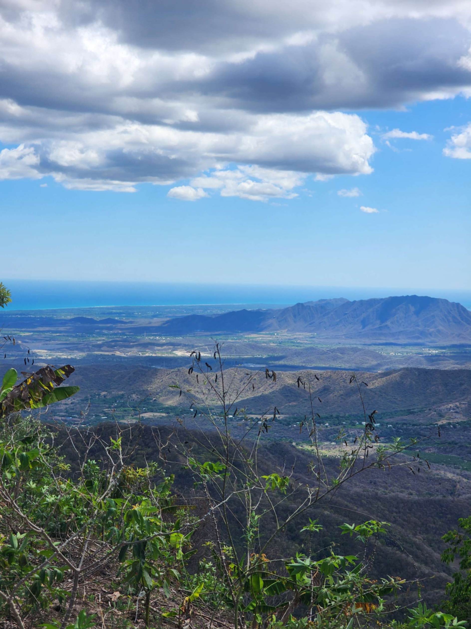 Vegetación de las montañas de Manaclar Baní