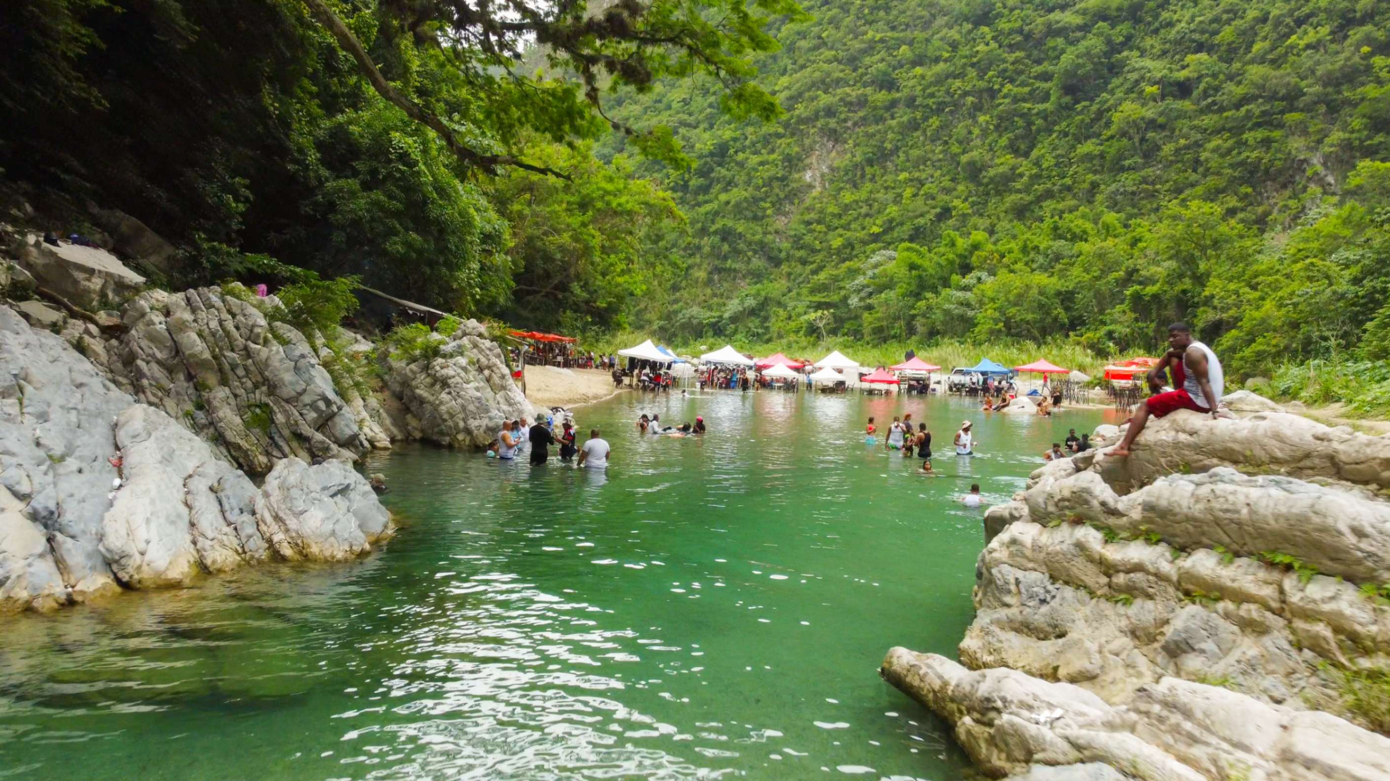 Picnic familiar responsable