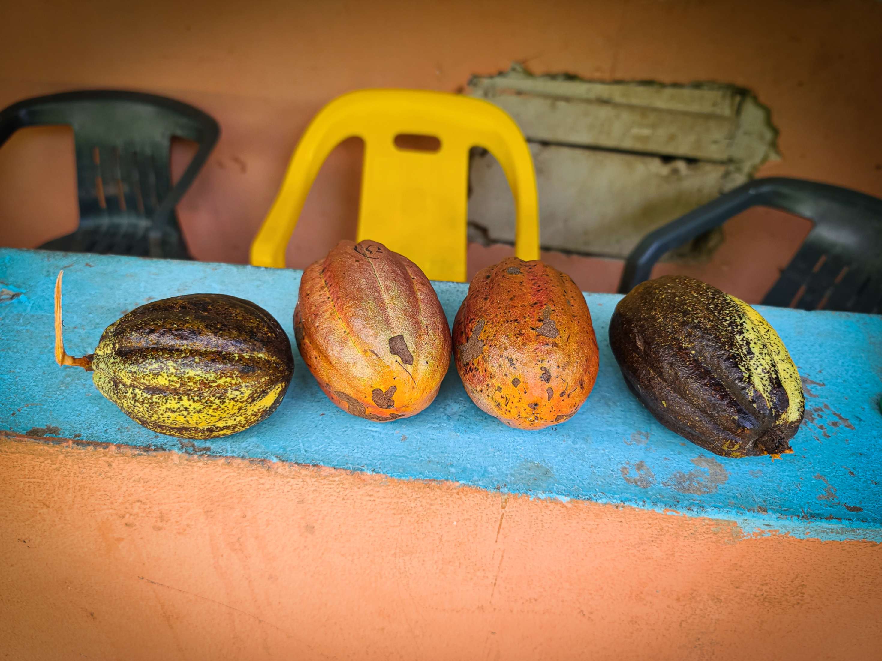 Dulces artesanales de Los Cacaos, San Cristóbal